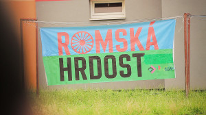 Tomas Rafa: Nationalists in  Ceske Budejovice II protest May 2013